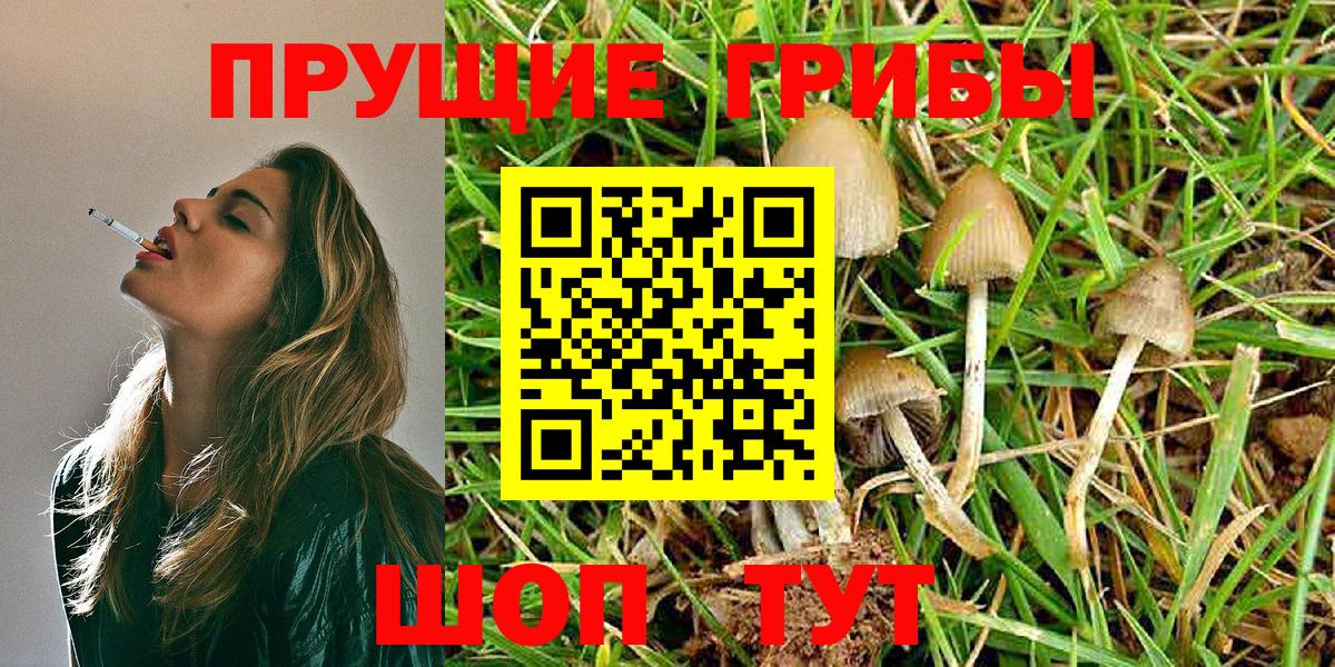 Псилоцибиновые грибы MAGIC MUSHROOMS  Вход с VPN  наркотики  Можга 