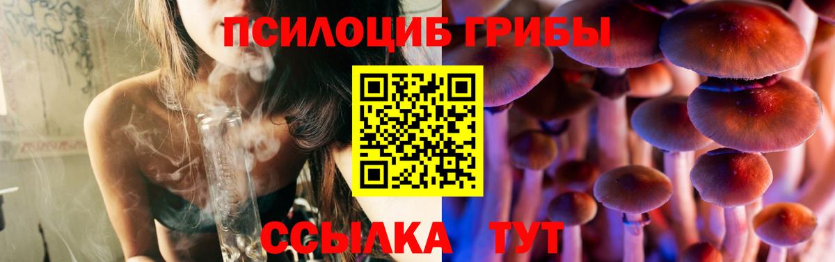Галлюциногенные грибы Psilocybe Можга