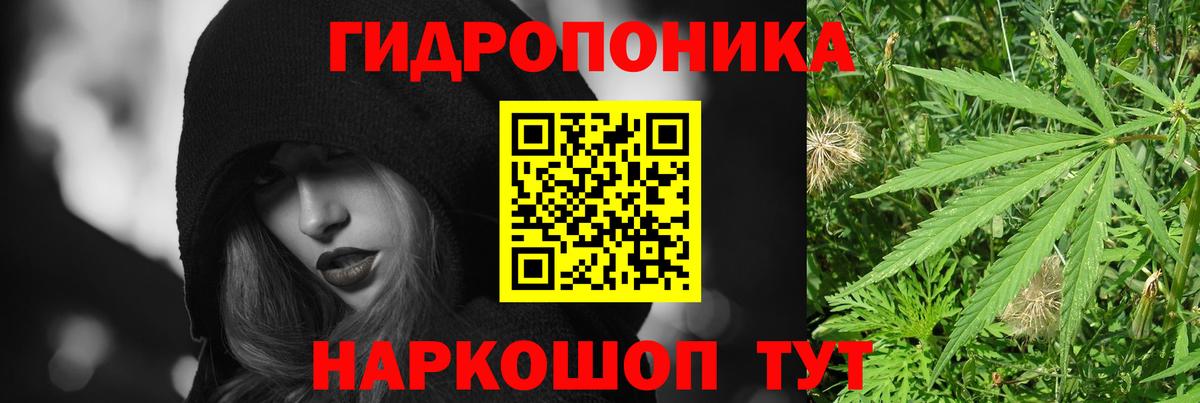 Марихуана план Можга